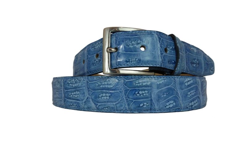 Blue Crocodile Back Belt